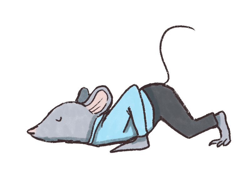 mouse practicing yoga